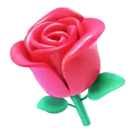 a pink rose with green leaves on a white background .