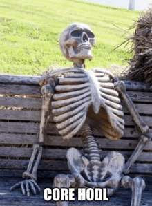 a skeleton is sitting on a wooden bench with the words core hodl written on it