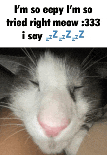 a cat with its eyes closed and a caption that says i 'm so eepy