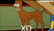 a cartoon of homer simpson standing under a cardboard box with xd written on it