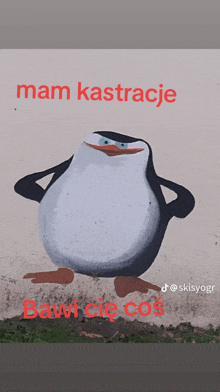 a painting of a penguin with the words mam kastracje written above it