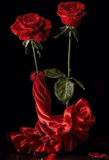 two red roses are wrapped in a red cloth