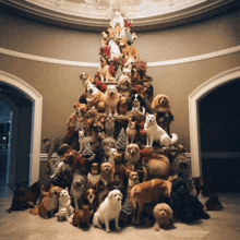 a christmas tree made of dogs and cats in a room