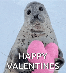 a seal holding a pink heart that says happy valentines on it