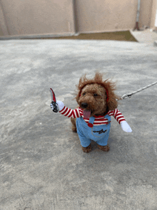 a small dog wearing a chucky costume holds a knife