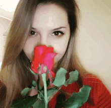 a woman in a red sweater is holding a red rose in front of her face