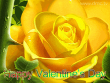 a yellow rose with the words " happy valentine 's day " below it