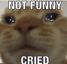 a cat is crying with the words not funny cried written above it