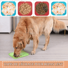 a dog eating food from a green mat with the words " tapis de lechage pour repas lent " on the bottom