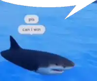 a shark is in the water with a speech bubble that says pls can i win