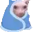 a pig is wrapped in a blue blanket and looking at the camera .