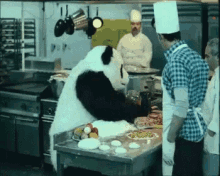 a panda bear is preparing a pizza in a kitchen with chefs