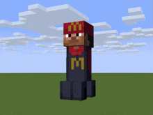 a minecraft character with a mcdonalds hat on