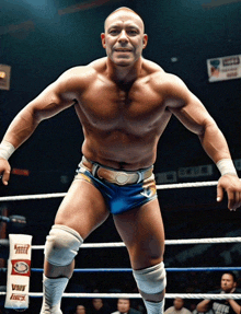 a wrestler is standing in a ring with a vault logo on the ropes