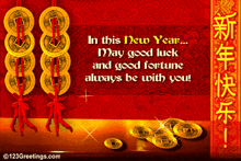 in this new year may good luck and good fortune always be with you!