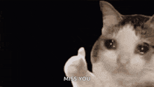 a crying cat is giving the middle finger and saying `` miss you '' .