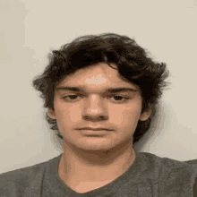 a young man with curly hair is wearing a gray shirt and looking at the camera .