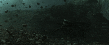 a scuba diver is swimming in a dark water