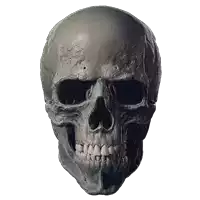 a gray skull with a white background and a few holes in it