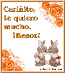 a picture of two rabbits kissing with the words carinito te quiero mucho i besos on it