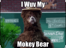 a picture of a mokey bear with a hat on his head