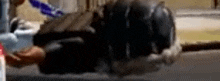 a blurred image of a person laying on their back on a bed .