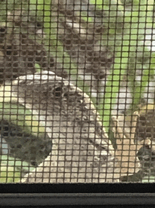 a snake is behind a screen that looks like a grid