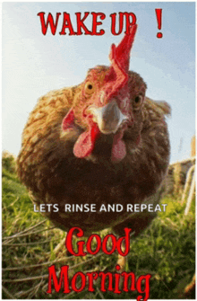 a picture of a chicken with the words wake up lets rinse and repeat good morning