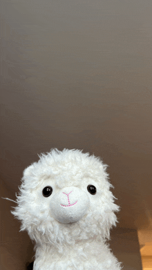 a close up of a stuffed animal with a pink nose