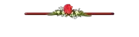 a red ribbon with flowers on it and a red rose in the middle