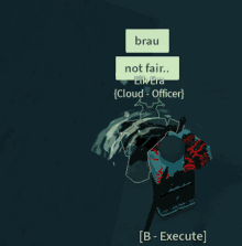 a screenshot of a video game that says brau not fair elf era cloud officer and b execute