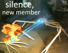 a picture of a spider with the words " silence new member " below it