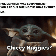 a baby yoda is asking the police what was so important you are out during quarantine .