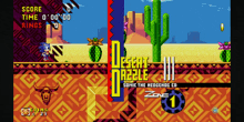 a screenshot of sonic the hedgehog 's desert dazzle game