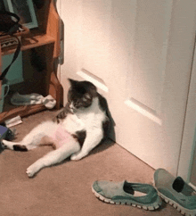 a cat is laying on its back on the floor next to a door .