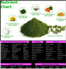 a nutrient chart shows the amount of vitamins and minerals in various foods