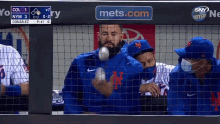 a mets.com advertisement is behind a fence