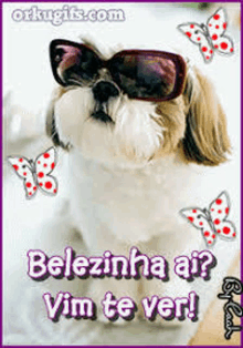 a dog wearing sunglasses is surrounded by butterflies and the words belezinha ai vim te ver