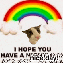 a picture of a cat with a rainbow in the background and the words " i hope you have a nice day "