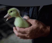 a person is holding a green duck with its beak open