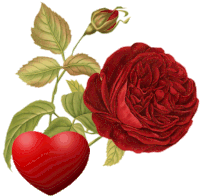 a red rose with green leaves and a red heart