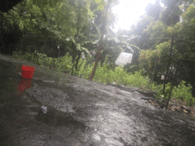 a red bucket sits in a puddle of water