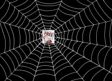 a spider web with a sign that says free on it