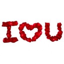 the word i love you is written with red hearts