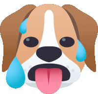 a brown and white dog with its tongue out and sweat coming out of its face