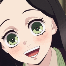 a close up of a cartoon character with green eyes