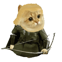 a cat holding a bow and arrow with a wig on its head