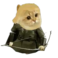 a cat holding a bow and arrow with a wig on its head