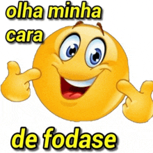 a smiley face with the words " olha minha cara de fodase " written on it