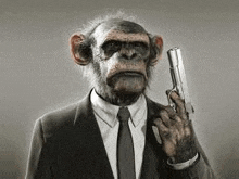 the chimpanzee is wearing a suit and tie and holding a gun .